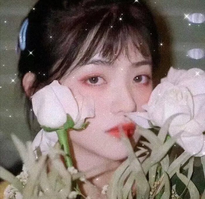 五个校花两个爸